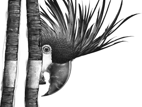 Open Studio's Highlands - Darren Gilbert - Pubs Perth 2