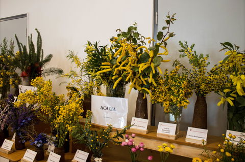 Pomonal Native Flower Show - Pubs Perth 0