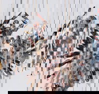 Pulse Perspectives - Virtual Exhibition - Pubs Perth