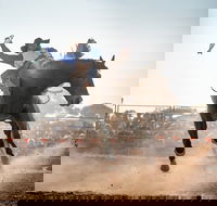 Rodeo by the Sea - Streaky Bay - Pubs Perth