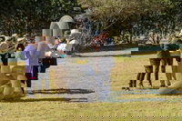 Sculpture for Clyde - Outdoor Exhibition