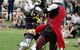 Semaphore Street Fair - thumb 1
