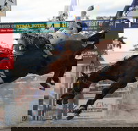 Stroud Rodeo and Campdraft - Pubs Perth