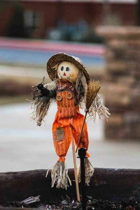Tamborine Mountain Scarecrow Festival - Pubs Perth 0