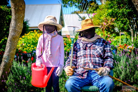 Tamborine Mountain Scarecrow Festival - Pubs Perth 2
