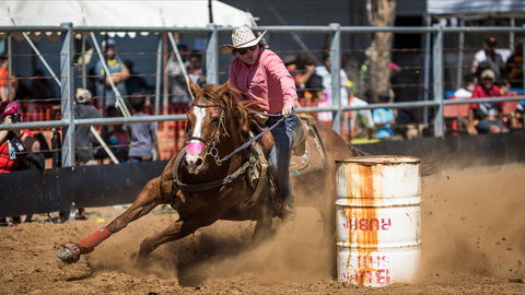 The Gulf Country Frontier Days Festival - Pubs Perth 2