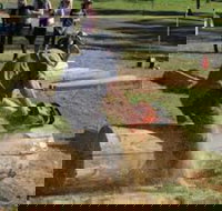 Tocal Field Days - Pubs Perth