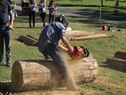 Tocal Field Days - Pubs Perth 0