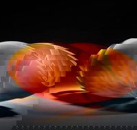 Tom Malone Prize - Pubs Perth