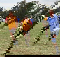 Veterans Touch Footy Carnival - Pubs Perth