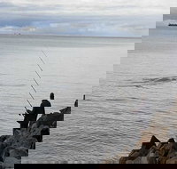 Whale Watching in Portland - Pubs Perth