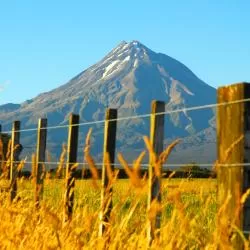 Taranaki