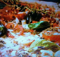 Alfio's Pizzeria - Pubs Perth