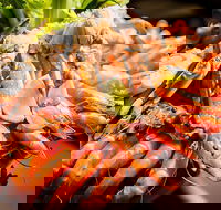 Table 30 - Pubs Perth