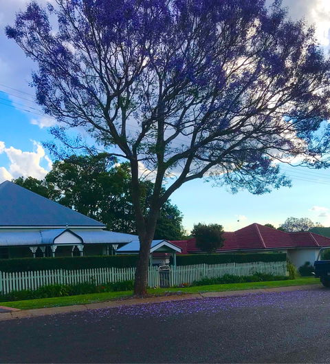 The Spotted Cow - Pubs Perth 1