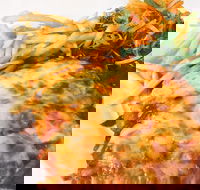 The Water Rat Hotel - Pubs Perth