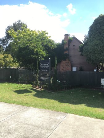 Stellina - Pubs Perth 0