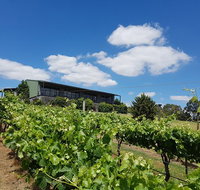 Traralgon Vineyard - Pubs Perth