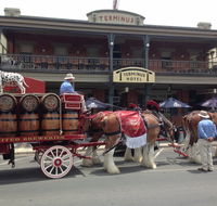 Terminus Hotel - Pubs Perth