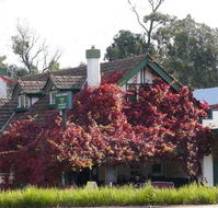 Fetching Treasures - Pubs Perth