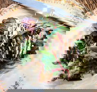 Frank and Connie's Kitchen - Pubs Perth