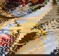 The Northern Bean - Pubs Perth