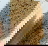 Quick Thai Restaurant - Pubs Perth