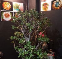 Wagyu Factory Korean BBQ Restaurant - Pubs Perth