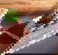 The Food Co Patisserie - Pubs Perth