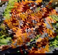 Royal Hotel - Pubs Perth