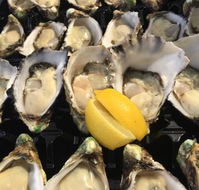 The Oyster Shed - Pubs Perth