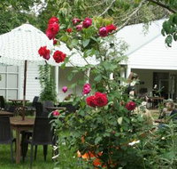 Sturt Coffee - Pubs Perth