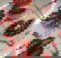 Forbes Golf and Sportsmans Hotel - Pubs Perth