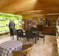 Tumut Valley Violets - Pubs Perth