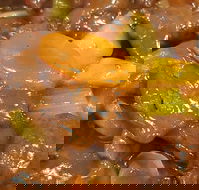 Golden Inn Restaurant - Pubs Perth