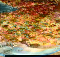 Al Pesto - Pubs Perth