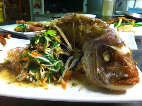 Terrace Cafe - Pubs Perth 0