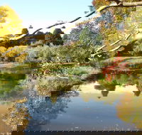 Cradle Coast Olives - Pubs Perth