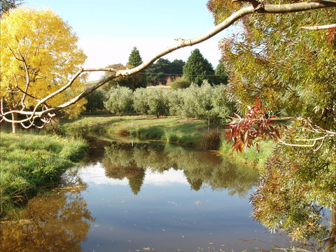Cradle Coast Olives - Pubs Perth 0