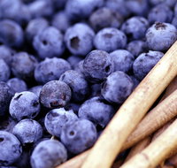 Drum Drum Blueberry Farm - Pubs Perth