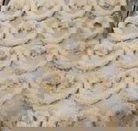 Fairfield Bakery - Pubs Perth