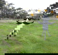 Heard it on the Grapevine - Pubs Perth