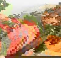 Raavi's Cumin - Pubs Perth