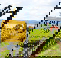 Tranquil Vale Vineyard - Pubs Perth