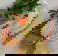 Vida Espresso - Pubs Perth