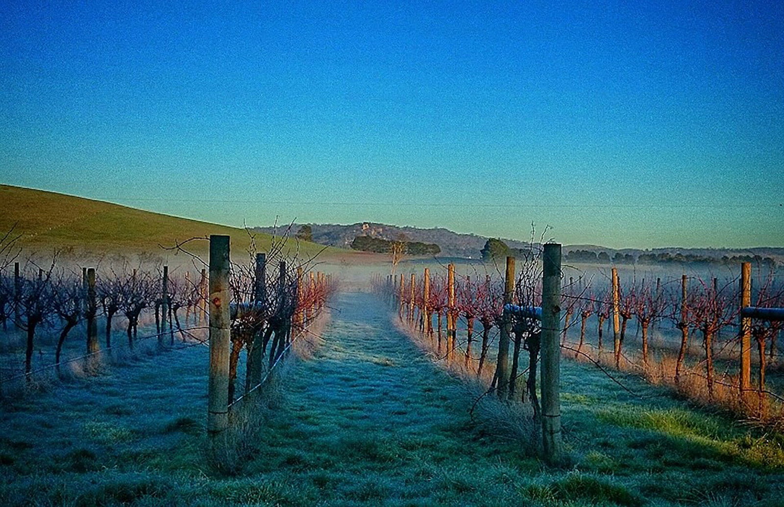 Coghills Creek VIC Pubs Perth