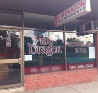 Mini Dragon - Pubs Perth