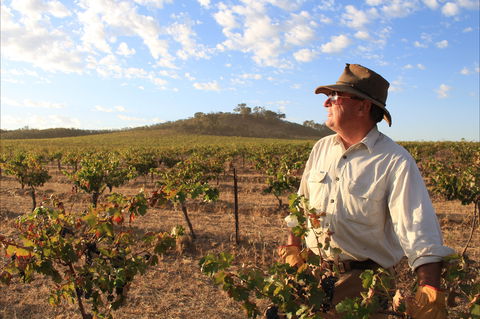 Sally's Paddock At Redbank Winery - Pubs Perth 2