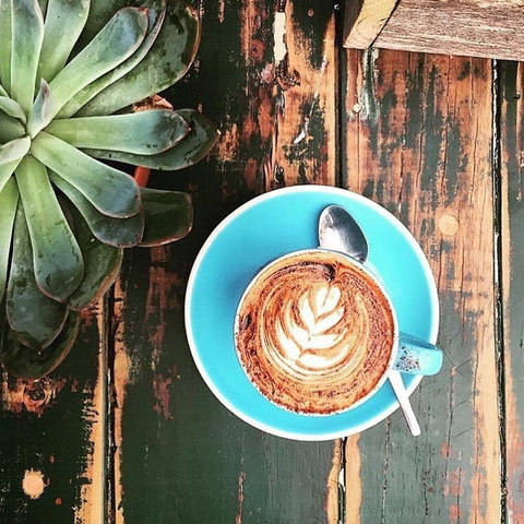 Charlotte's Little Sister - Eveleigh - Pubs Perth 0