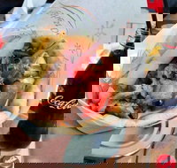 Gyradiko Bexley - Bexley - Pubs Perth